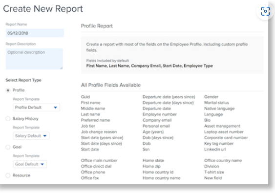 A screenshot of a report

Description automatically generated